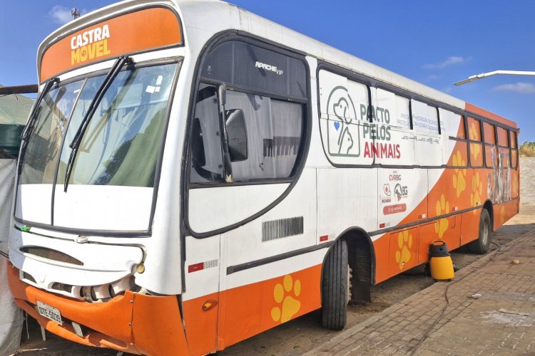 Floriano recebe Busão da Castração e oferta 500 procedimentos gratuitos para cães e gatos