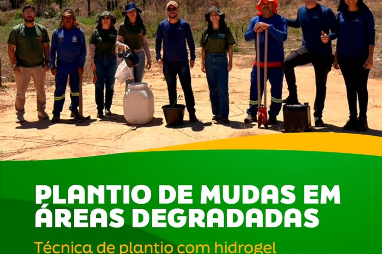 Floriano avança na recuperação ambiental com uso de tecnologia...